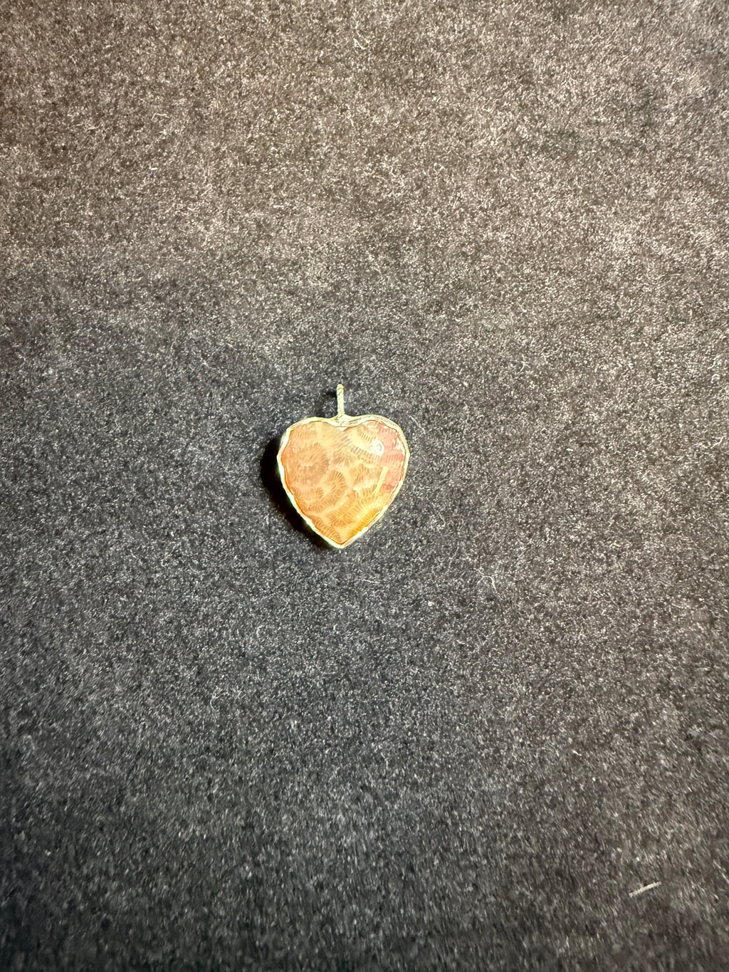 Heart Shaped Fossilized Coral Pendant