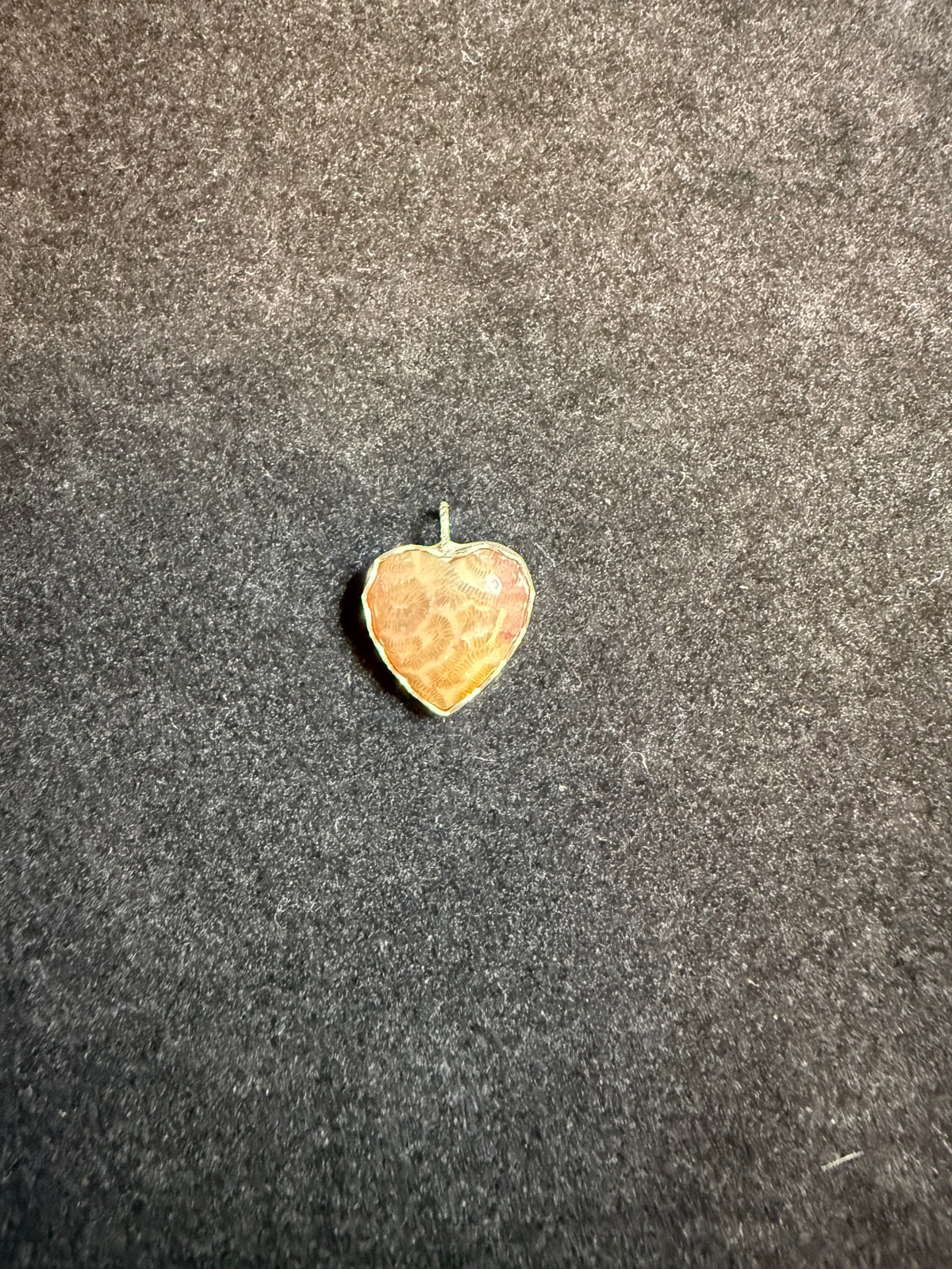 Heart Shaped Fossilized Coral Pendant
