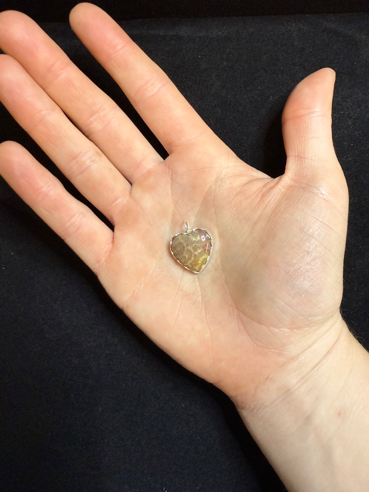 Heart Shaped Fossilized Coral Pendant